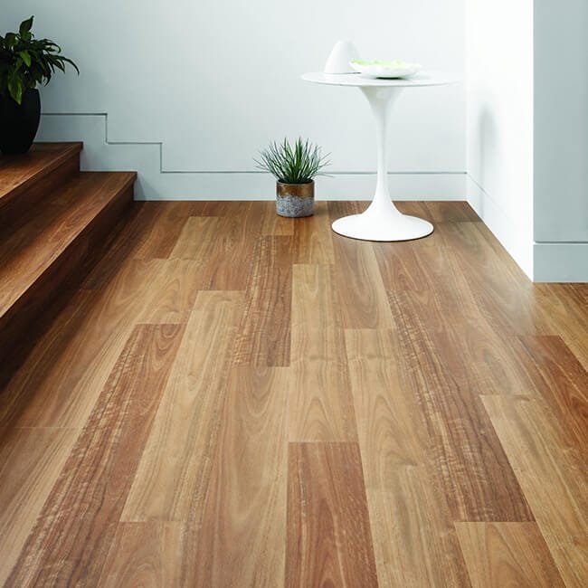 Spotted Gum - Image 2