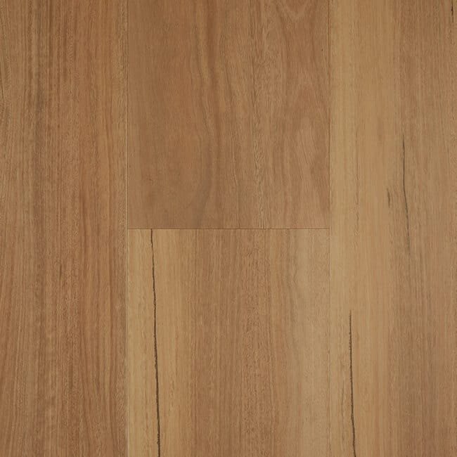 Classic Spotted Gum